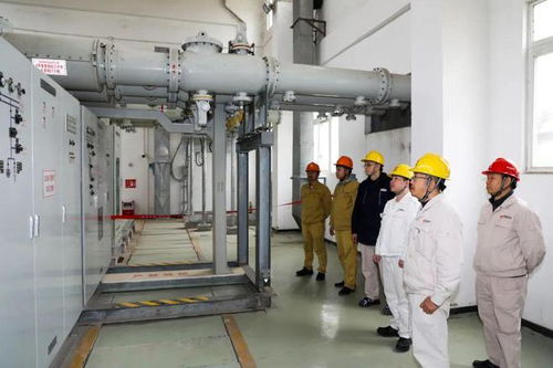 保障能源安全 國(guó)能肇慶電廠二期工程廠用電受電一次成功，手機(jī)軟件設(shè)計(jì)助力智慧電廠